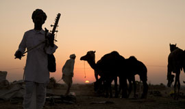 Voyages organisés en visitant les monuments historiques et désert du Rajasthan